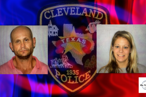 Article Image Alt Text