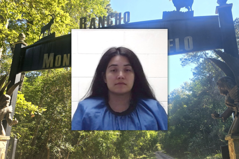 Article Image Alt Text