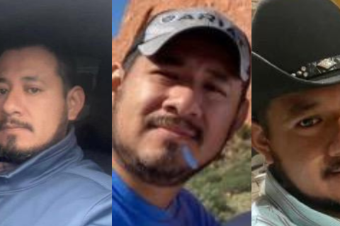 Article Image Alt Text