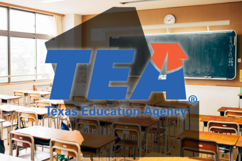 Article Image Alt Text