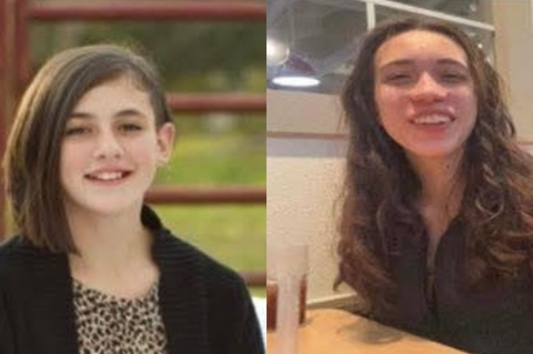 Article Image Alt Text