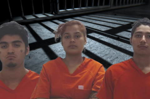 Article Image Alt Text