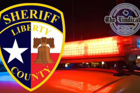 Article Image Alt Text