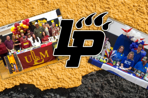 Article Image Alt Text