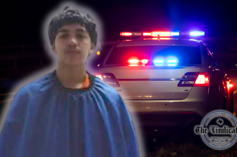 Article Image Alt Text