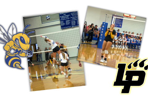 Article Image Alt Text