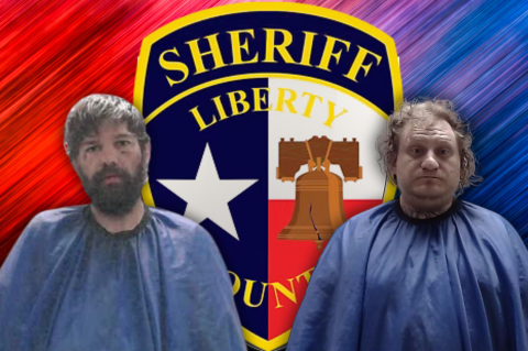 Article Image Alt Text