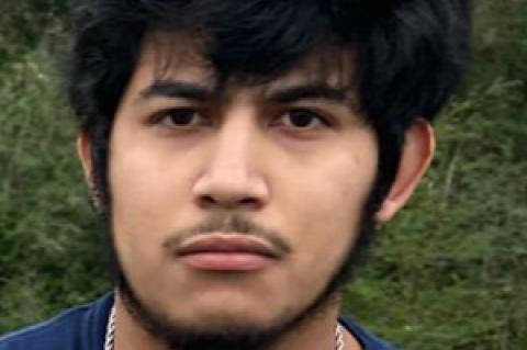 Article Image Alt Text