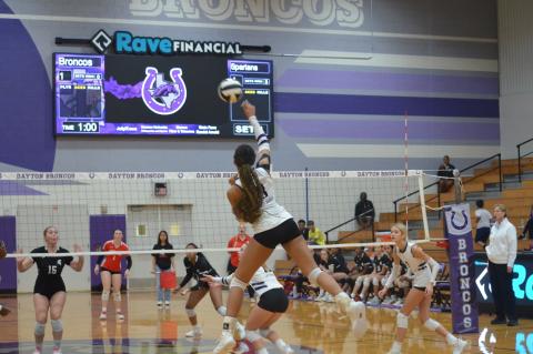 Article Image Alt Text