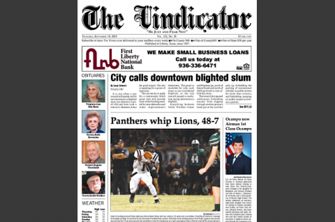 Article Image Alt Text