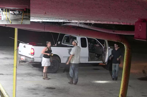 Article Image Alt Text