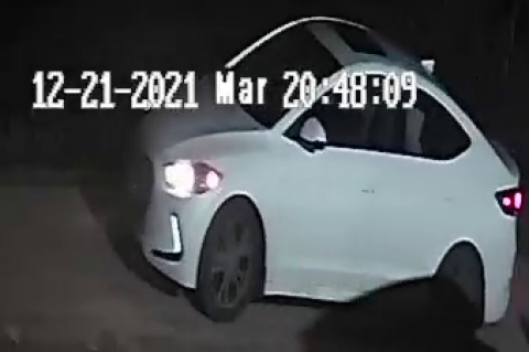 Article Image Alt Text