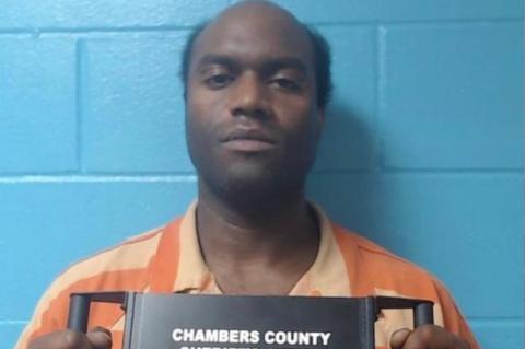 Article Image Alt Text