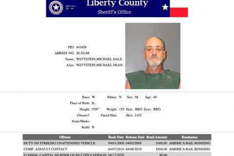 Article Image Alt Text