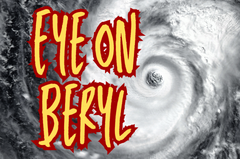 Article Image Alt Text