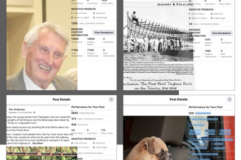 Article Image Alt Text