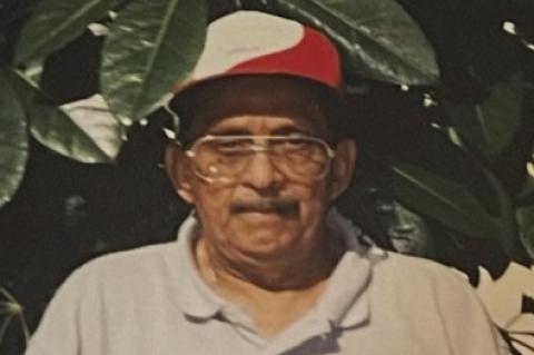 Article Image Alt Text