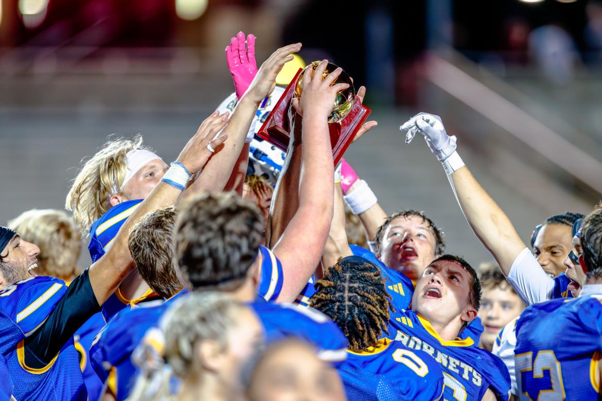 Article Image Alt Text