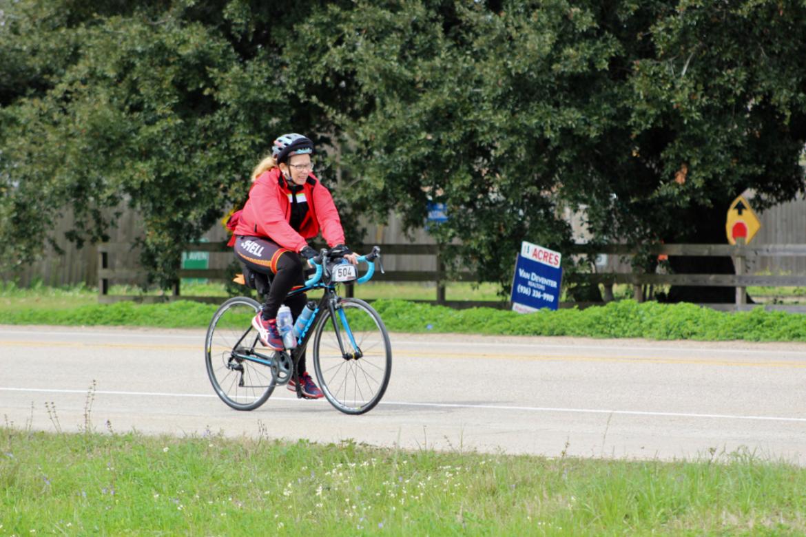 Article Image Alt Text