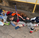 Article Image Alt Text