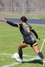 Article Image Alt Text