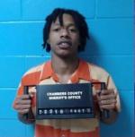 Article Image Alt Text