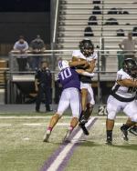 Article Image Alt Text