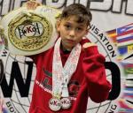 Article Image Alt Text