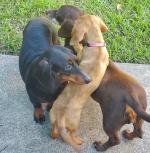 Article Image Alt Text