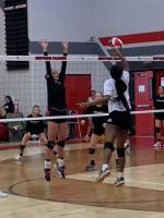 Article Image Alt Text